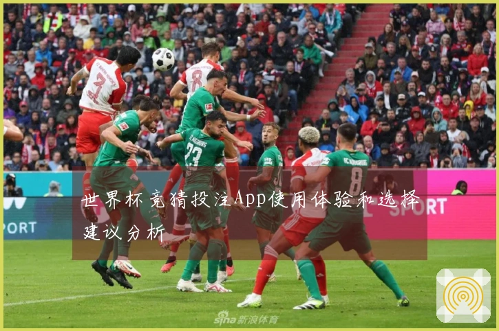 世界杯竞猜投注App使用体验和选择建议分析