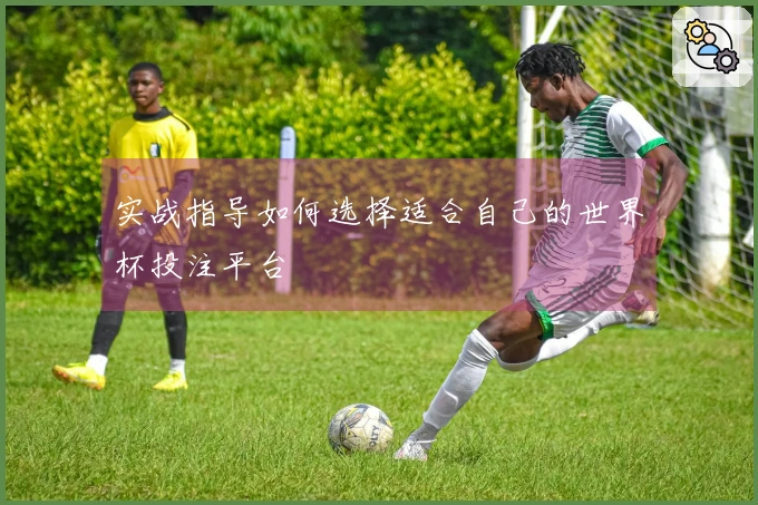 实战指导如何选择适合自己的世界杯投注平台