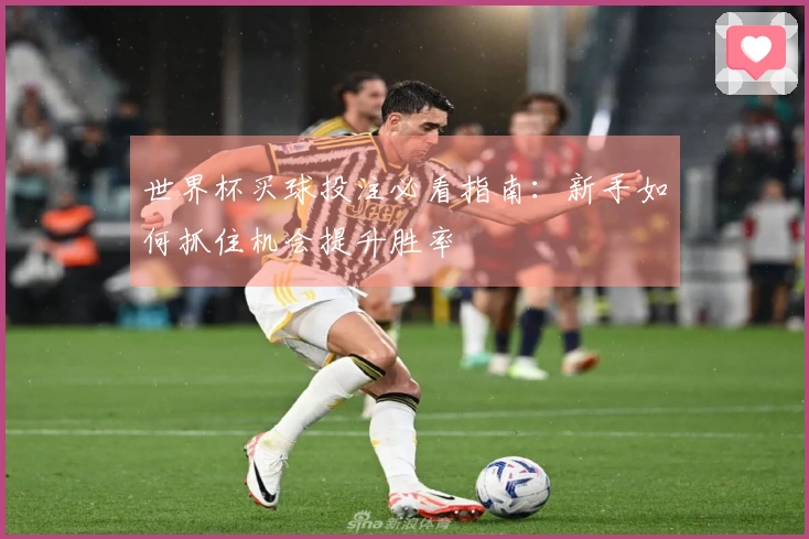 世界杯买球投注必看指南：新手如何抓住机会提升胜率