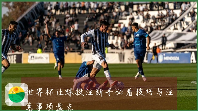 世界杯让球投注新手必看技巧与注意事项盘点