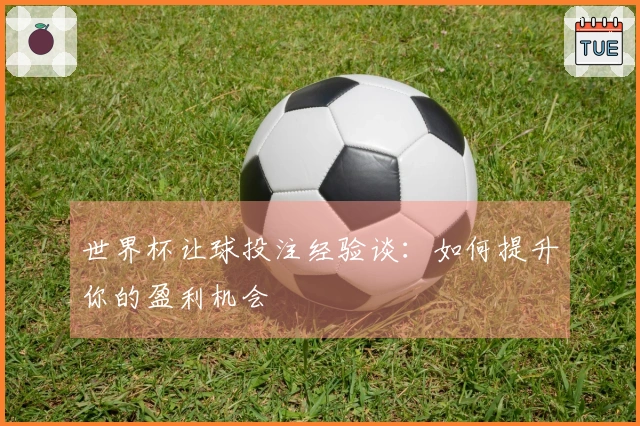 世界杯让球投注经验谈：如何提升你的盈利机会