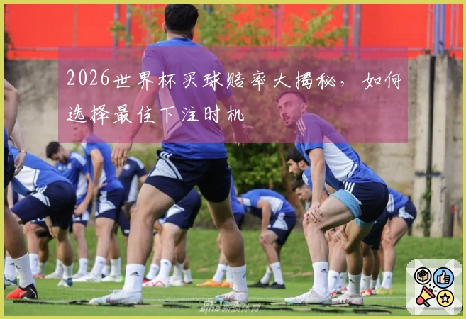 2026世界杯买球赔率大揭秘，如何选择最佳下注时机