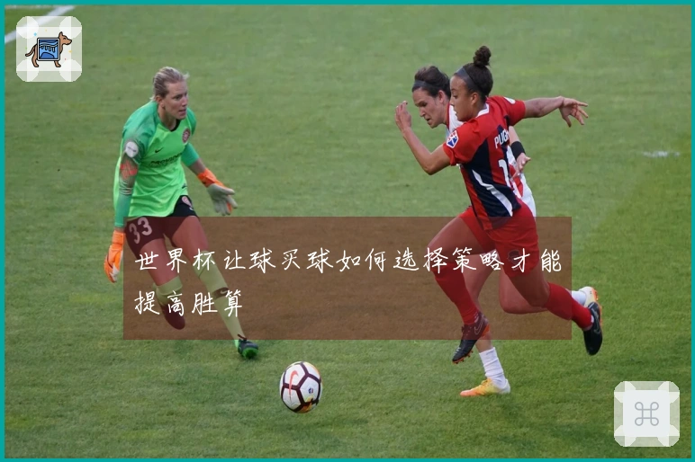 世界杯让球买球如何选择策略才能提高胜算