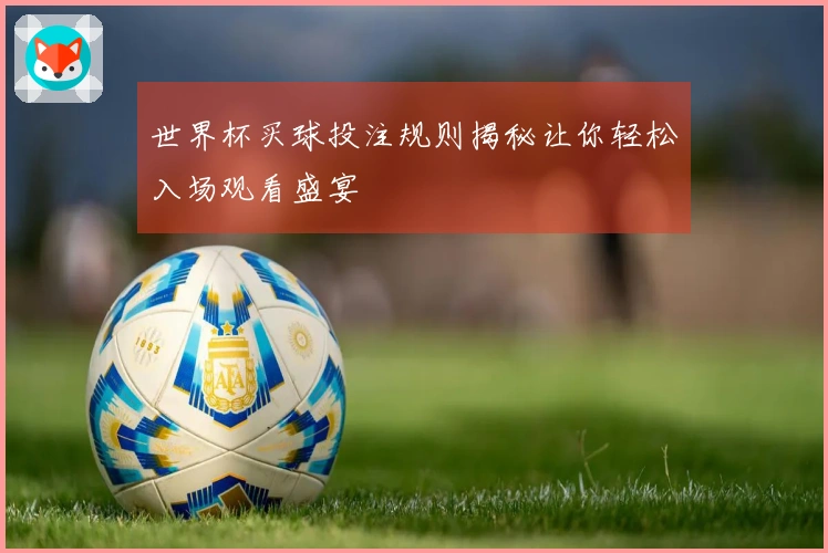 世界杯买球投注规则揭秘让你轻松入场观看盛宴