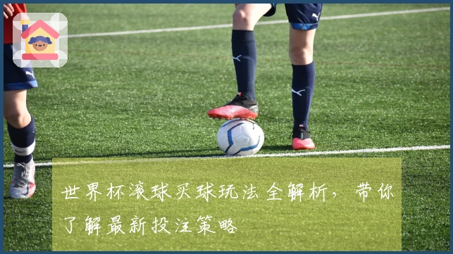 世界杯滚球买球玩法全解析，带你了解最新投注策略