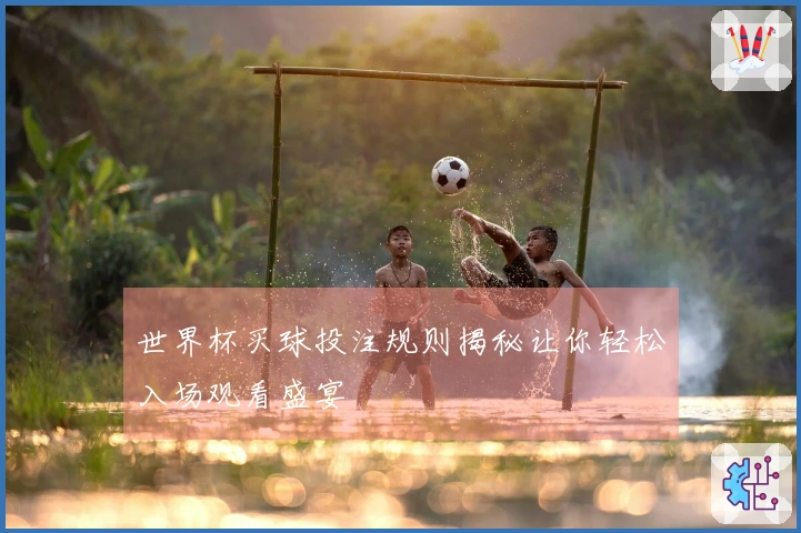 世界杯买球投注规则揭秘让你轻松入场观看盛宴
